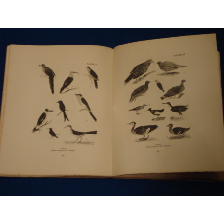 La revue de Madagascar. Publication Trimestrielle. N°6. Avril 1934