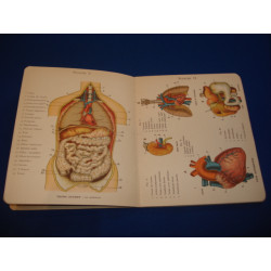 Petit Atlas D'histoire Naturelle de L'homme Son Anatomie...