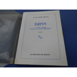 DJINN. Un trou rouge entre les pavés disjoints