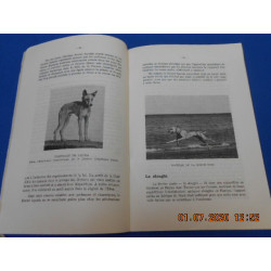 BULLETIN DE LIAISON SAHARIENNE. N°17 JUIN 1954