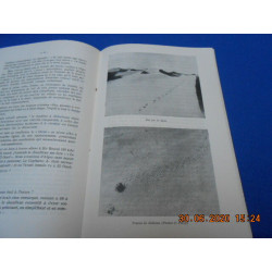 Bulletin de liaison Saharienne. N°15 Déc 1953
