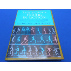 The human figure in motion
