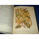 Dictionnaire pratique d'Horticulture et de Jardinage. Tome I seul...