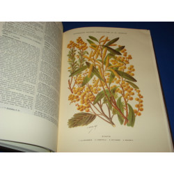 Dictionnaire pratique d'Horticulture et de Jardinage. Tome I seul...