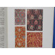 LES TISSUS Documents choisis de décoration textile des origines au...