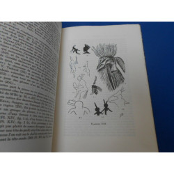 Permanence de la parure et du masque africains