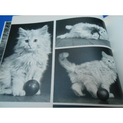 85 chats / lib a 40