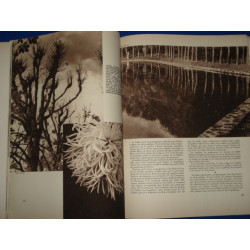 ART ET MEDECINE. DEC. 1931 KOLLAR / SCHALL (Photos)